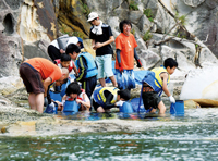 外浜海水浴場／シーカヤック、磯の自然観察、シュノーケリングで隠岐の海を満喫する様子3