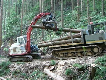 高性能林業機械による木材の搬出