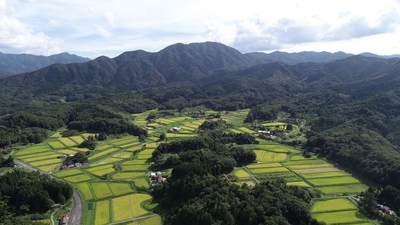 日本農業遺産風景（阿井地区福原の棚田）