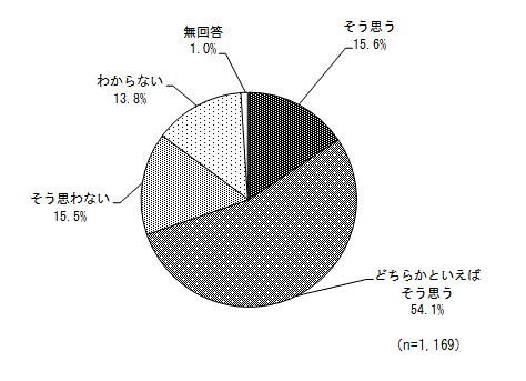 グラフ（文化財の保存・継承と活用）