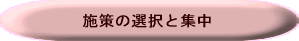 施策の選択と集中