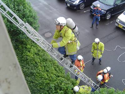 梯子を登る 梯子を登る