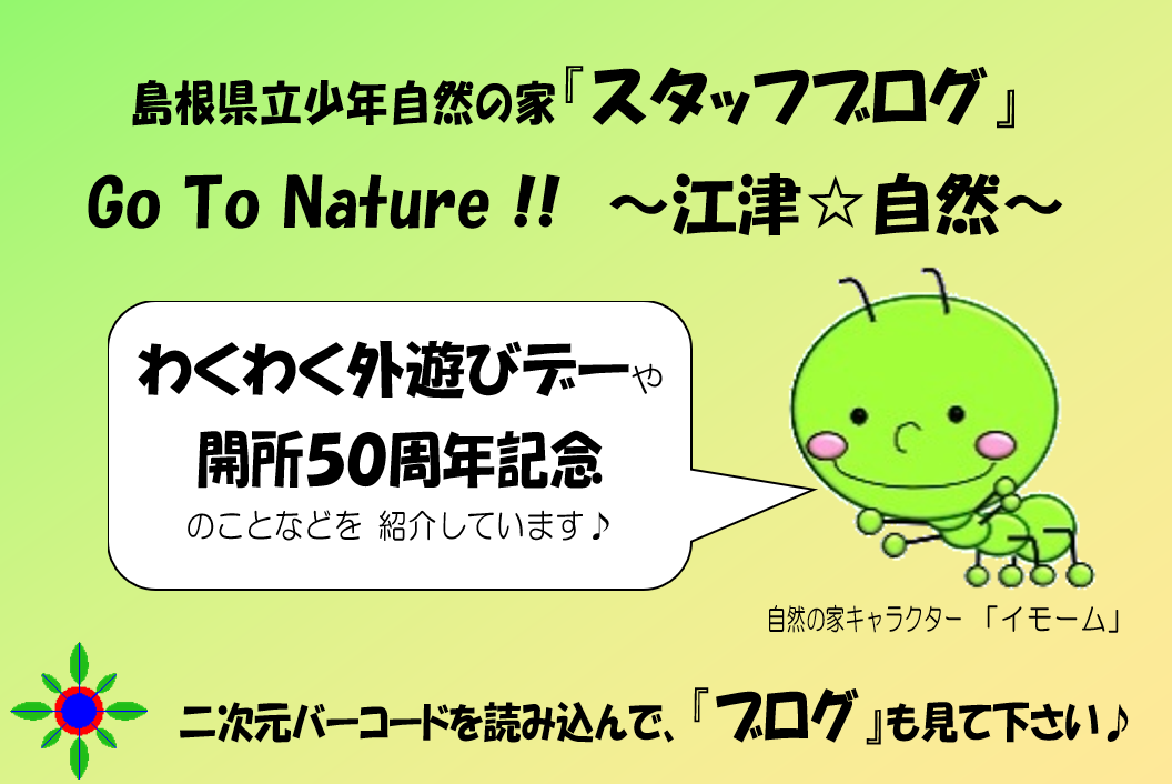 ブログ