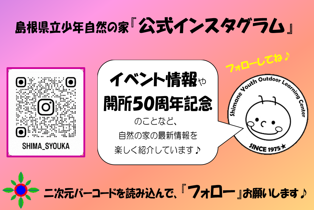 インスタグラム