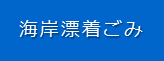 海岸漂着ごみ