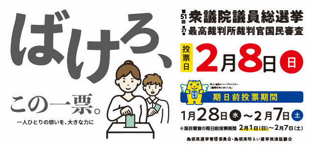 第51回衆議院議員総選挙、最高裁判所裁判官国民審査について