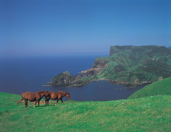 島根県の写真3