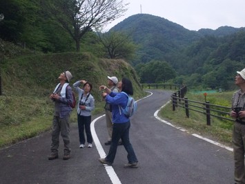 鰐淵寺観察風景２