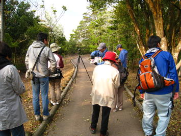 万葉公園観察風景１