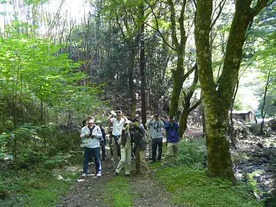 鰐淵寺の山中の観察風景１