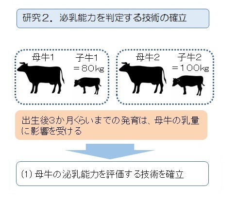 研究２泌乳能力を判定する技術の確立