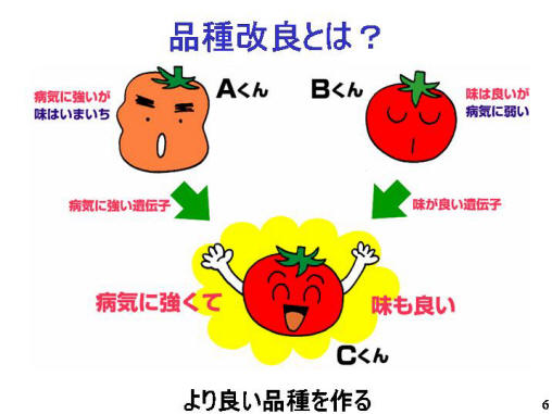 品種改良とは