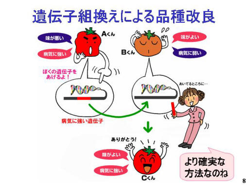 遺伝子組換えによる品種改良