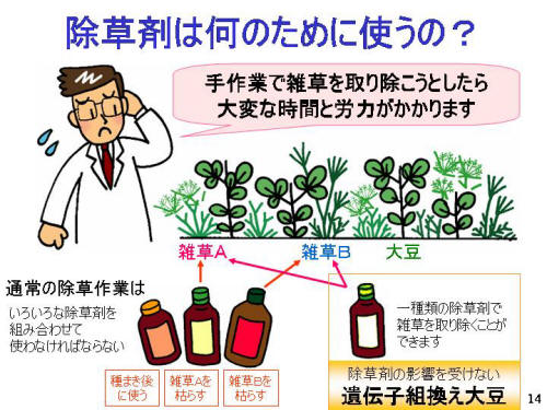 除草剤は何のために使うの