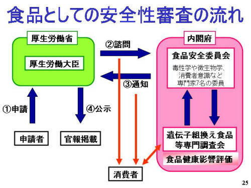 食品としての安全性審査の流れ