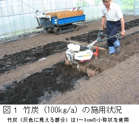 竹炭の施用作業