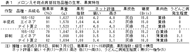 表　果実特性