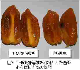 1-MCP処理