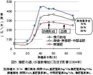 茎数の増加