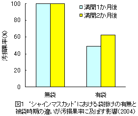 汚染果率