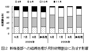 収穫時期