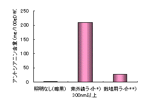 図１ソバスプラウトのアントシアニン含量