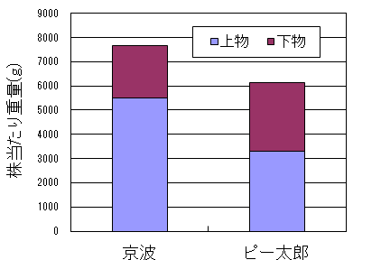 図１　収量比較