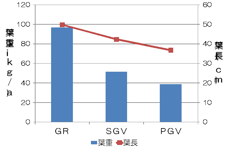 定植1年目の葉重と葉長