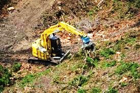 伐採者による機械地拵え