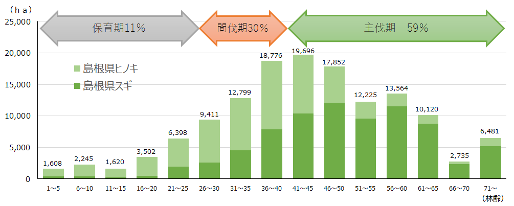 スギ・ヒノキ人工林の林齢別面積（Ｈ３０）