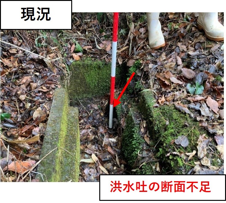 長迫堤の現況写真②