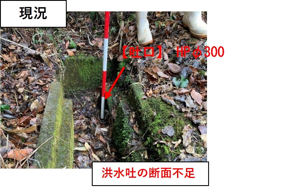 長迫堤の現況写真