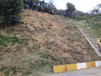 山腹斜面が崩落している施工前の写真