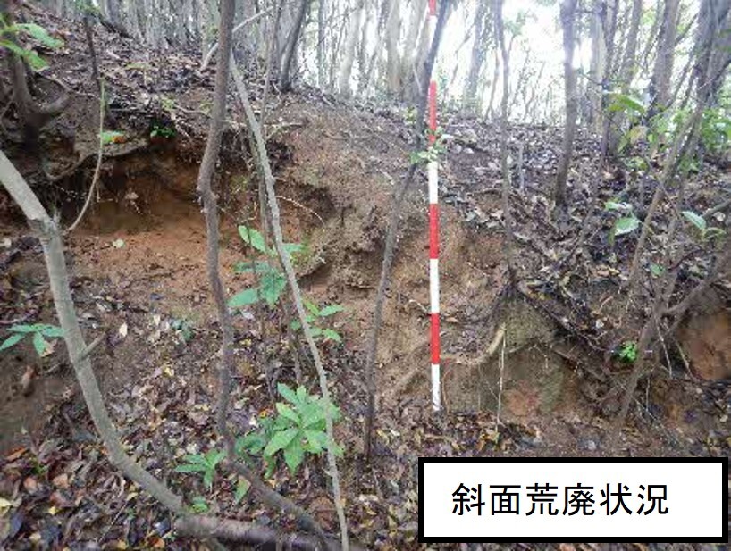 遠見山地区の施工前の斜面荒廃状況写真
