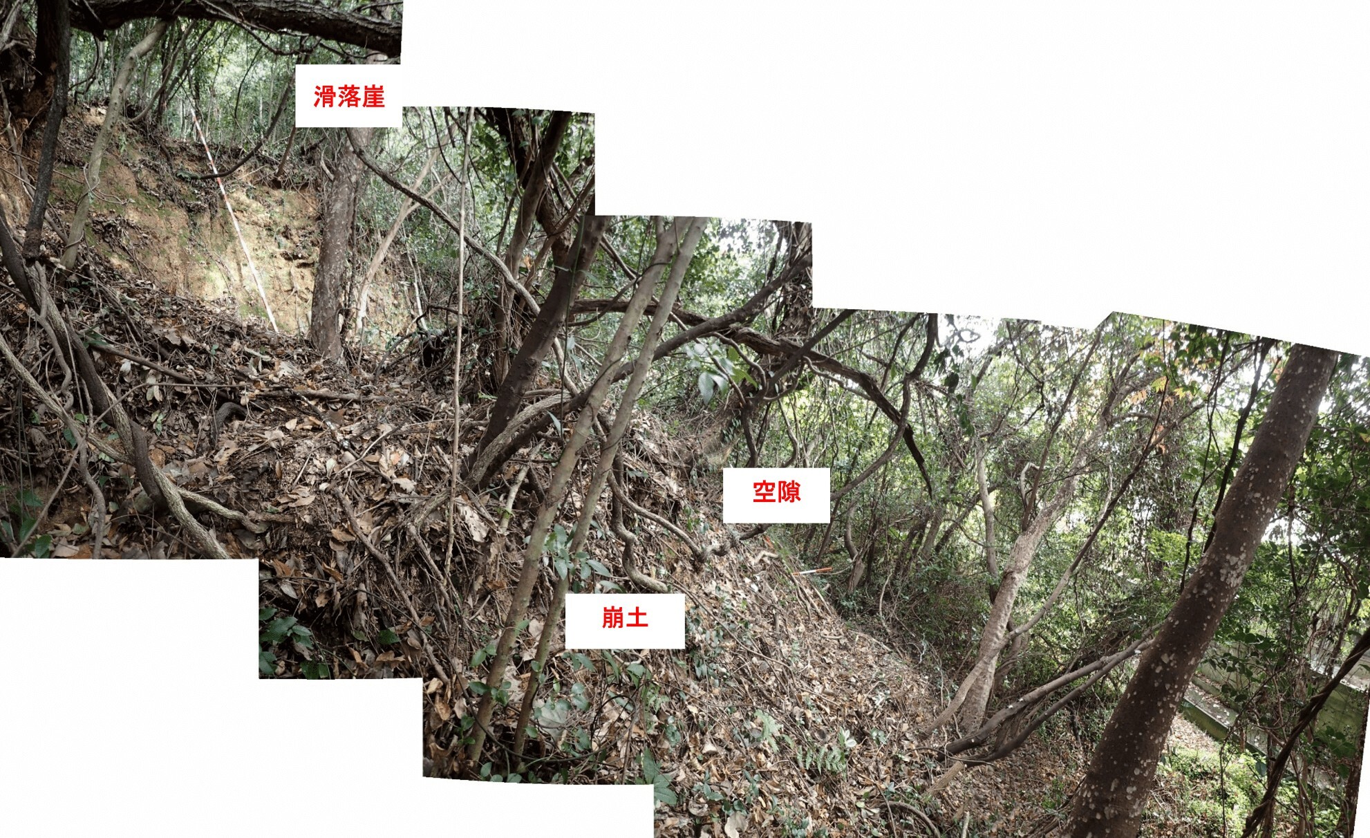 崩壊状況写真2