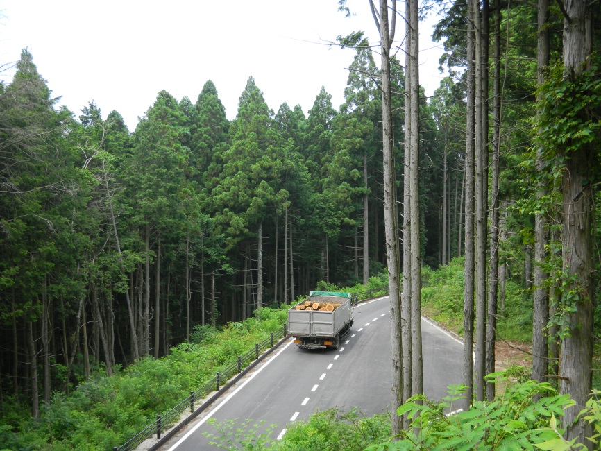 林道北山線における利用状況（木材搬出）