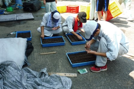 昨年度の様子（野菜）