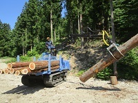 林業科実習
