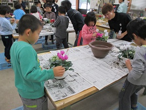 寄せ植えを作る園児と学生