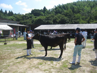 比較審査が始まりました