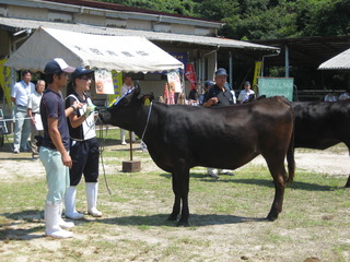 特等賞５席に選ばれました