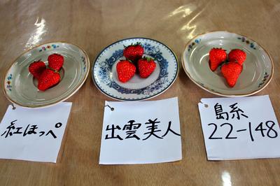イチゴの品種比較（食味）試験