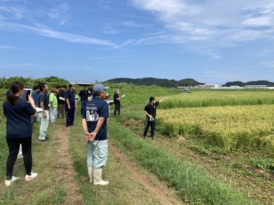 卒論中間検討会（水稲）