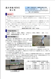 第4号画像