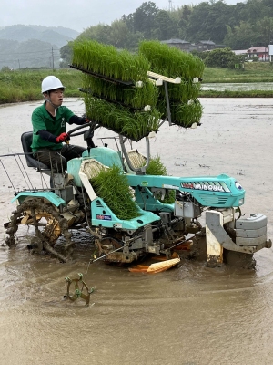 ポット成苗田植え機