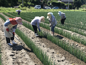 土寄せ作業を行う法人の構成員