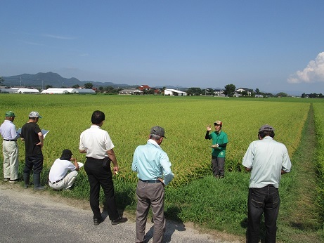 多収穫米現地検討会