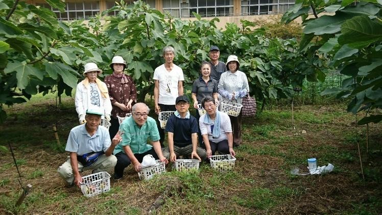 収穫体験を行う参加者