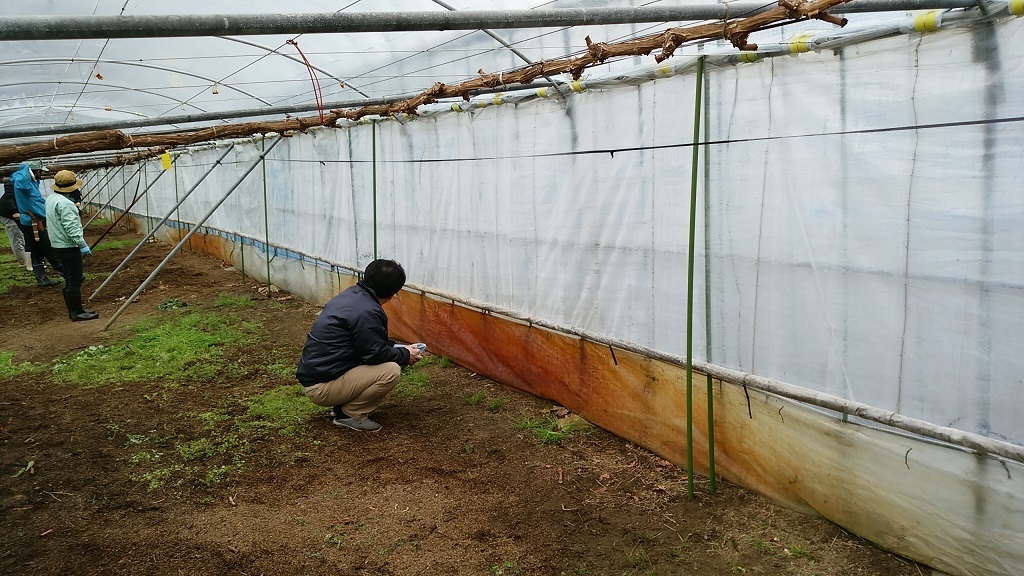 巻き上げ状況確認