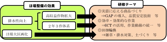 研修の目的イメージ図